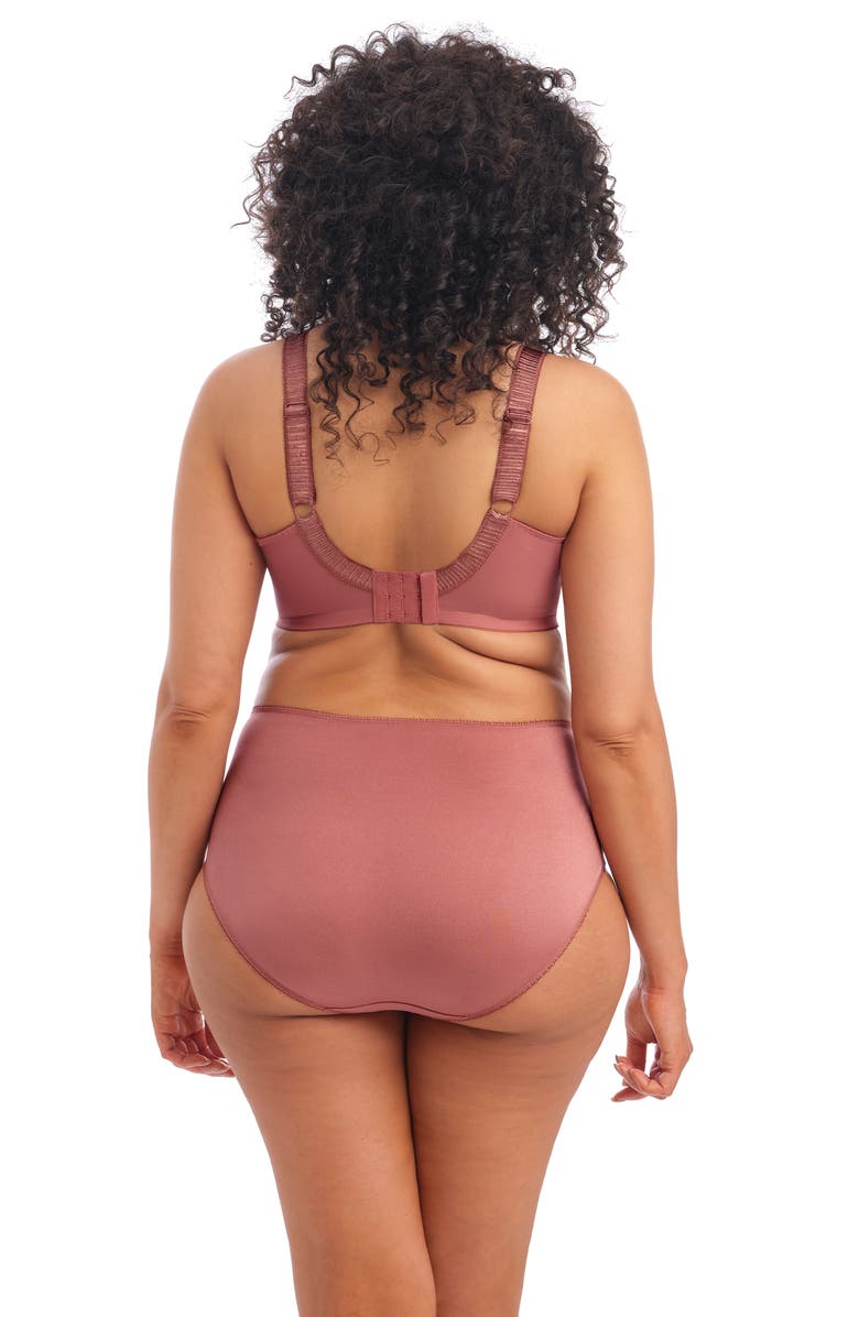 Elomi Cate Full Figure High Waist Briefs, Alternate, color, Rosewood