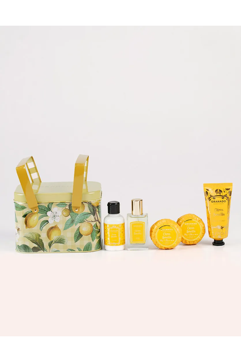 Citrus Brasilis Picnic Basket Set, Alternate, color, Clear