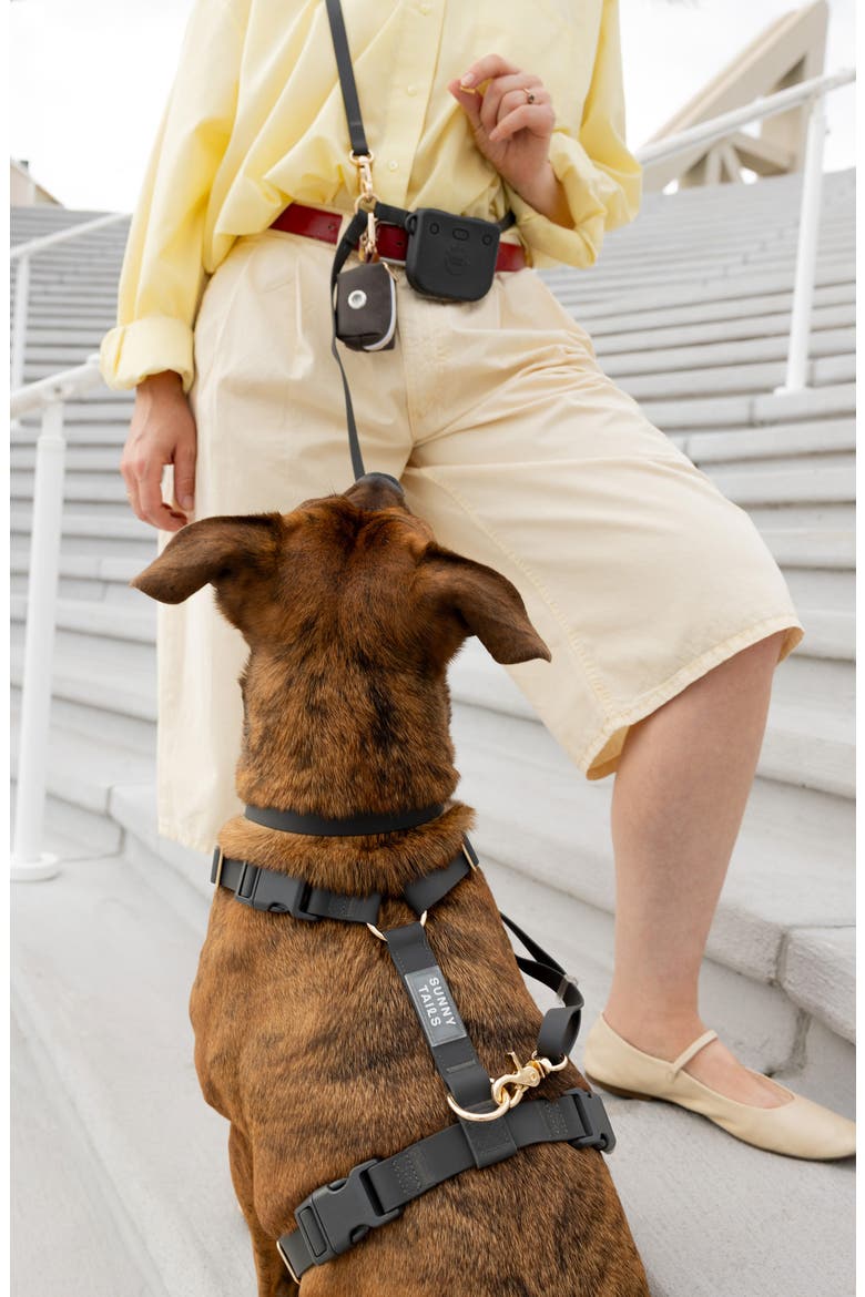 4-in-1 Convertible Hands Free Leash, Alternate, color, EMBER BLACK