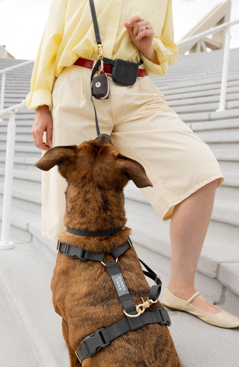 SUNNY TAILS 4-in-1 Convertible Hands Free Leash, Alternate, color, Ember Black