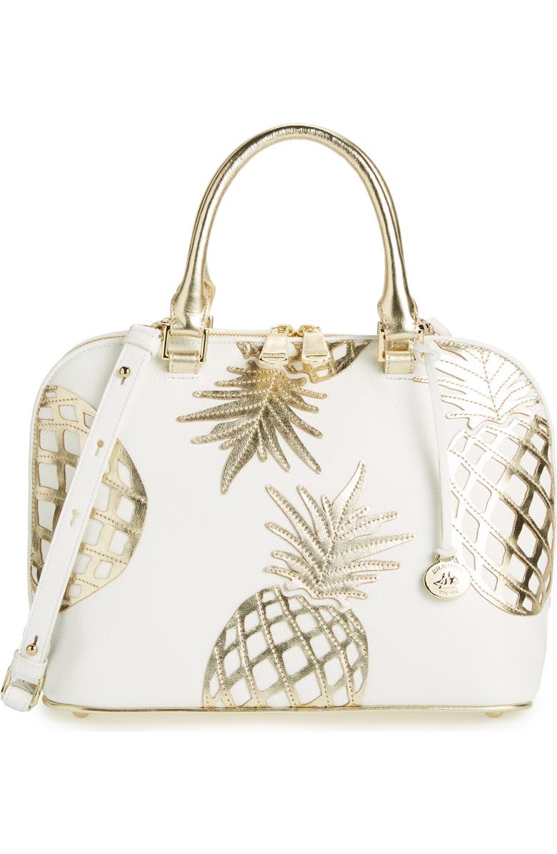 Brahmin , Main, color,