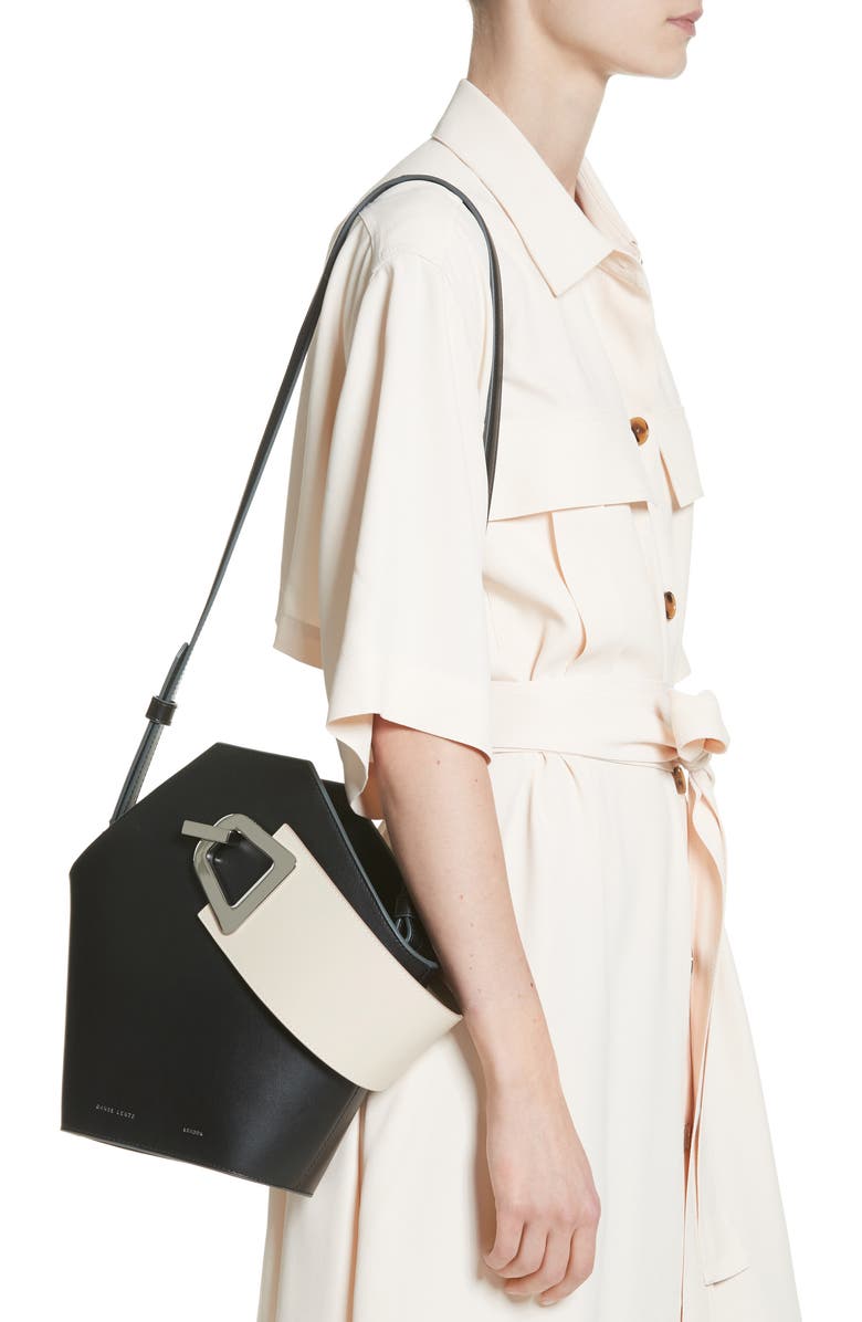 Danse Lente Johnny Leather Bucket Bag, Alternate, color,