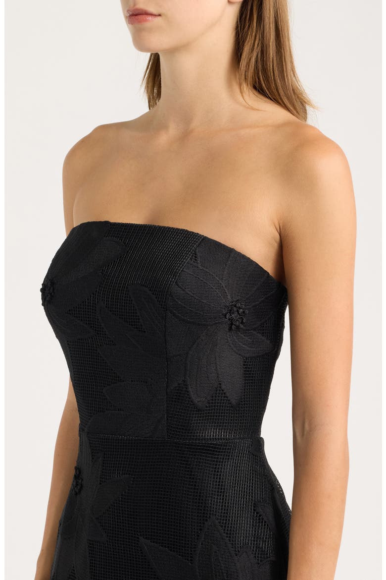 Strapless Mesh Column Dress, Alternate, color, BLACK