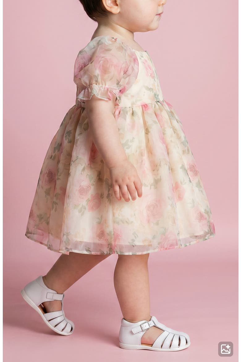 Emilia Floral Organza Dress & Bloomers Set, Alternate, color, IVORY