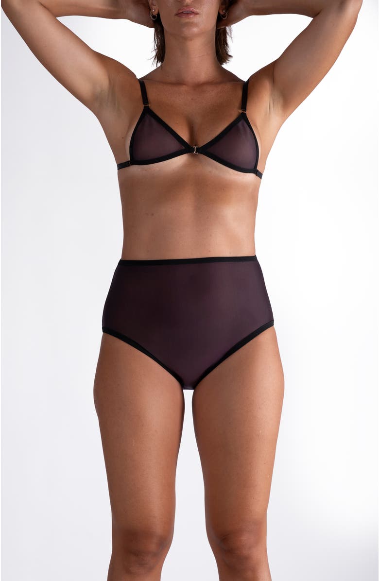 LECHERY<sup>®</sup> Lustrous Sheer High-waisted Brief, Alternate, color, Black
