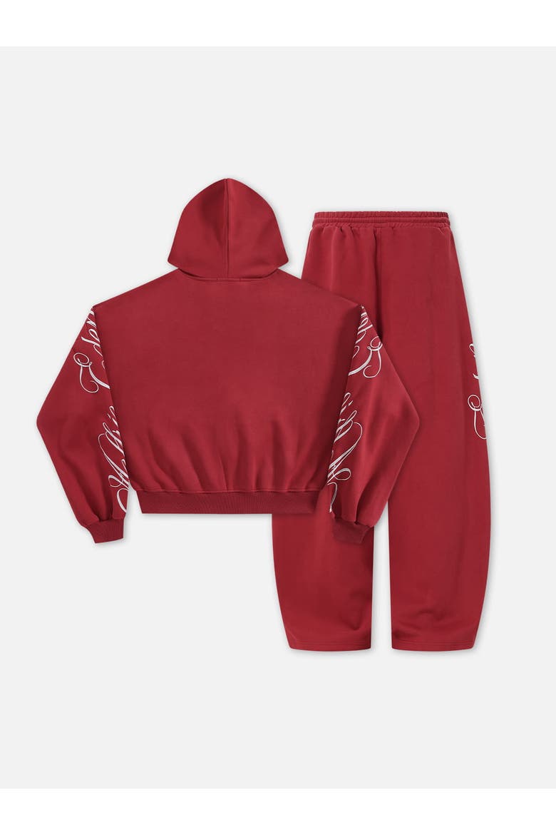 Boxy Embroidery Hoodie Sets, Alternate, color, Red