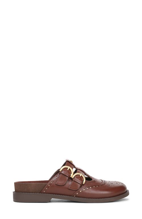 Circus Ny By Sam Edelman Claudia Mule In Brown