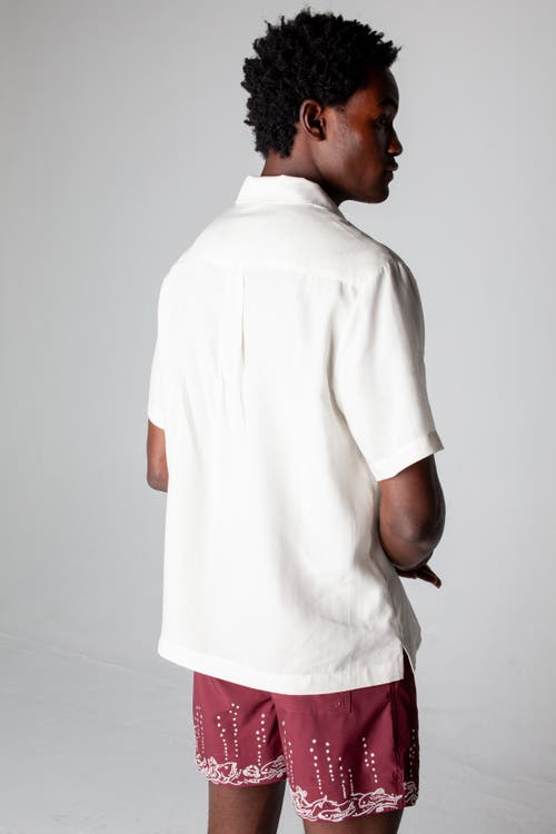 Tombolo 'fruits De Mer' Swim Trunks In Burgundy