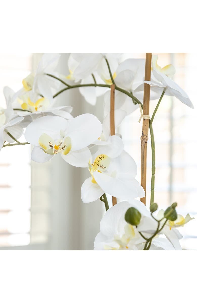 FLORA BUNDA Real-touch Orchid in Ceramic Vase, Alternate, color, 