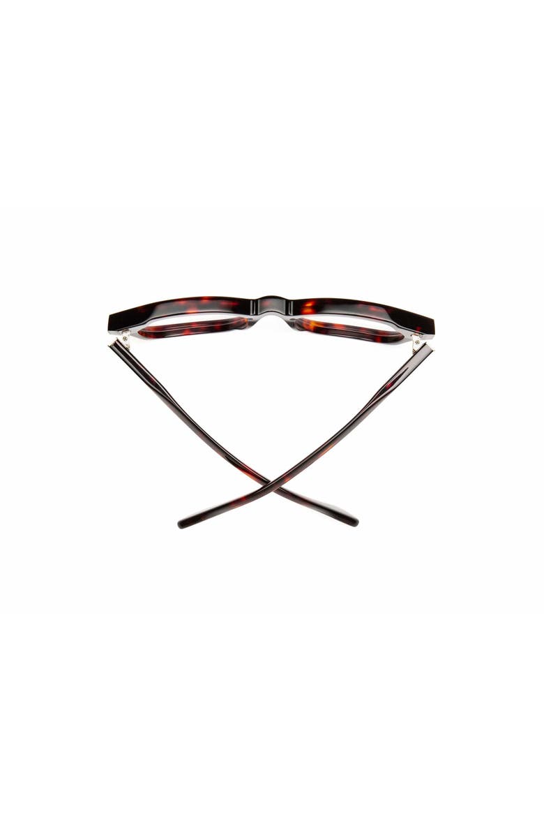 Muzzy | Reading Glasses, Alternate, color, Turtle