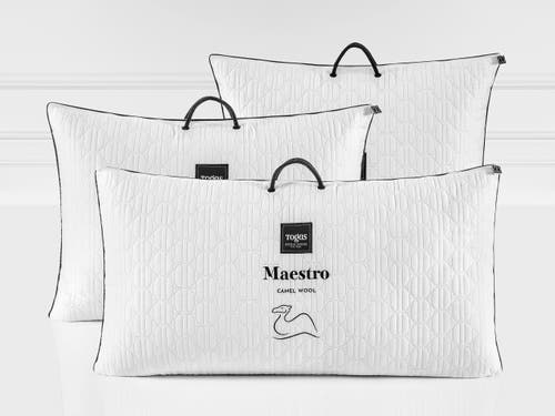 Togas Maestro Camel Wool Pillow In White