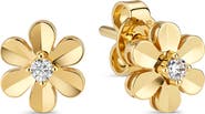 DEVATA Devata Daisy Flower Stud Earrings in 14K Gold