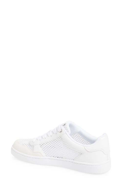 Calvin Klein Heyra Sneaker In White
