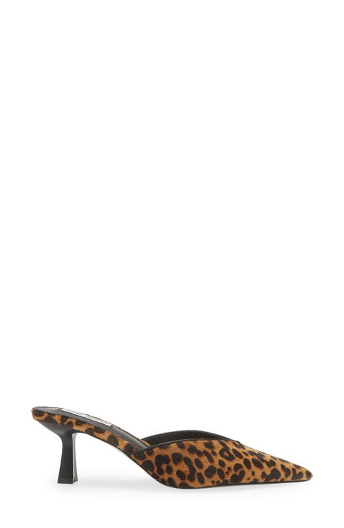 Shop Steve Madden Mod-a Leopard Print Genuine Calf Hair Mule