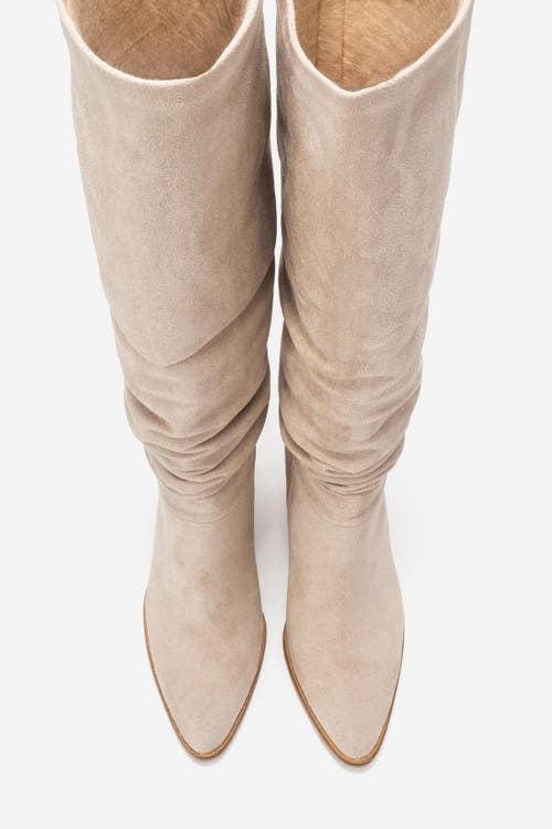 Prologue Shoes Vianella Block Heel Knee High Boot In Animal Print
