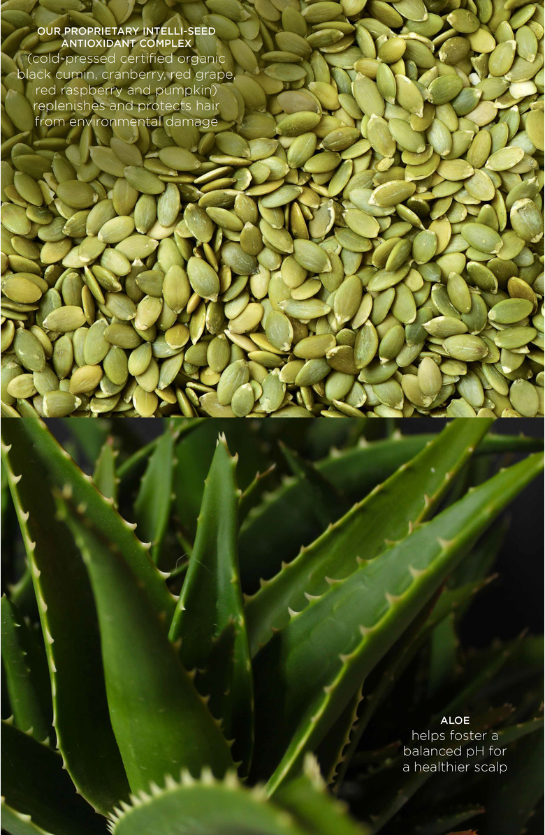 Intelligent Nutrients Flex-form Hair Spray, Alternate, color, NO COLOR