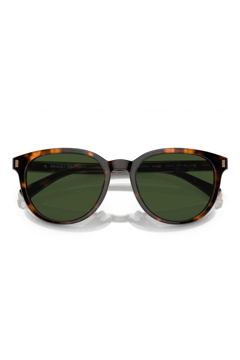 55mm Round Sunglasses, Alternate, color, WARM TORT BIO / DARK GREEN
