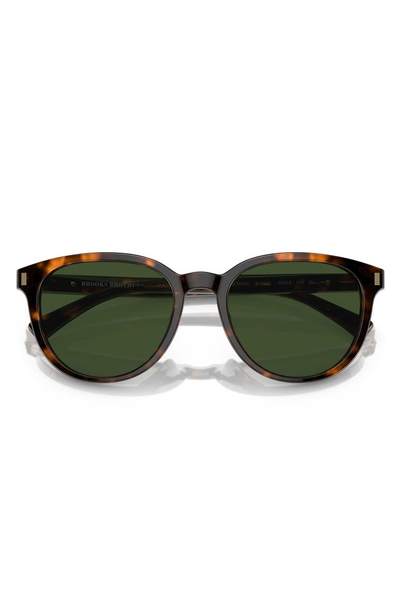 Brooks Brothers 55mm Round Sunglasses, Alternate, color, Warm Tort Bio / Dark Green