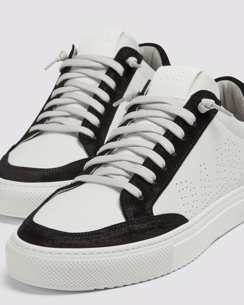 P448 Soho Sneaker In Thunder