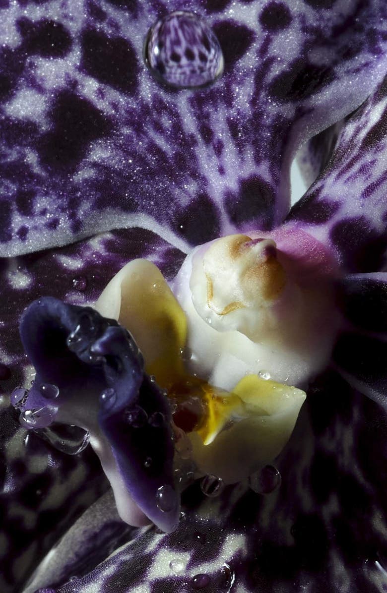 Dries Van Noten Soie and Amber Liquid Soap, Alternate, color, 