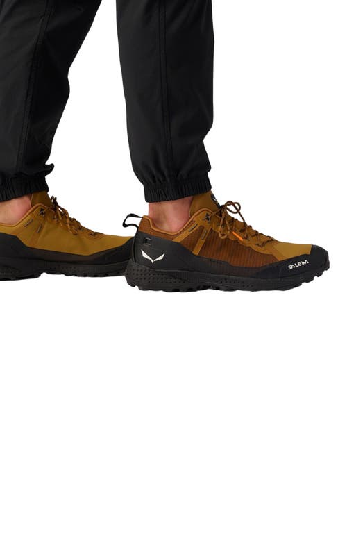 Backcountry Wasatch Ripstop Jogger In Black