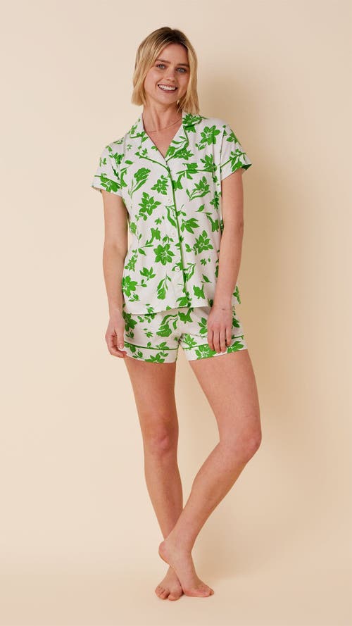 The Cat's Pajamas Pima Knit Short Pajama Set In Green