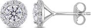 Julianna B. Moissanite Round Halo Stud Earrings