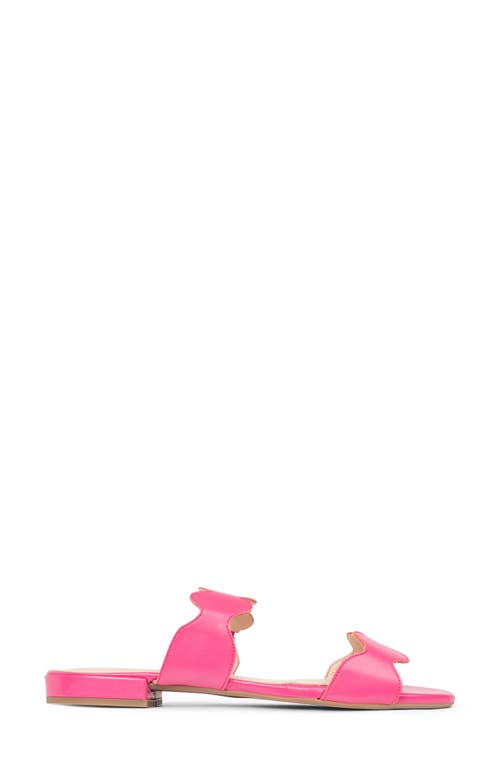 Patricia Green Palm Beach Sandal In Hot Pink