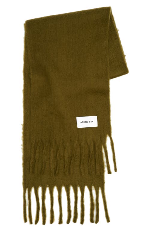 Arctic Fox & Co. Arctic Fox & Co The Reykjavik Scarf In Green