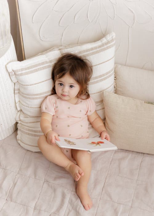 Ely's & Co. Embroidered Collection In Neutral