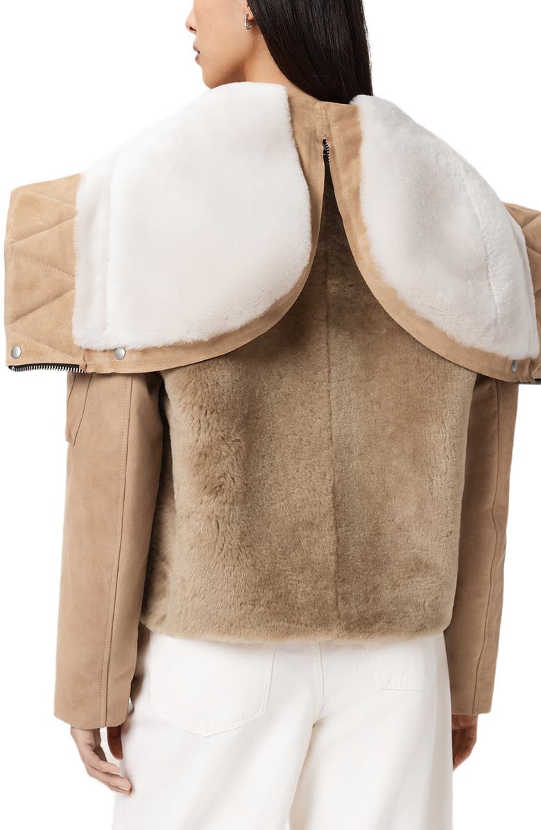 AllSaints Dexter Genuine Shearling Bomber Jacket, Alternate, color, Taupe Brown