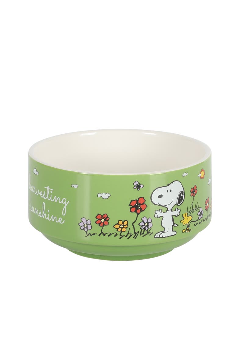 Snoopy's Garden Patch Stackable Stoneware Bowl Set, Alternate, color, Assorted Colors