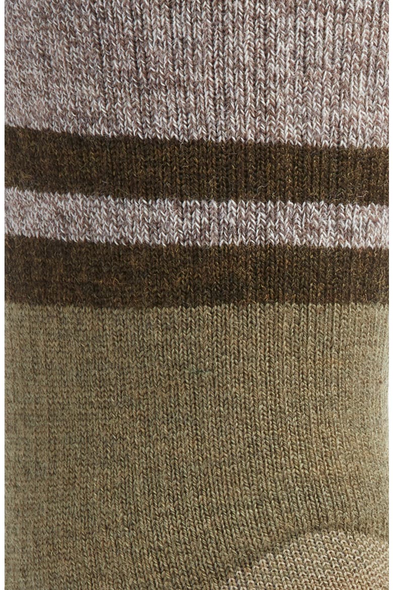Hike Full Cushion Lolo Trail Wool Blend Crew Socks, Alternate, color, WINTER MOSS
