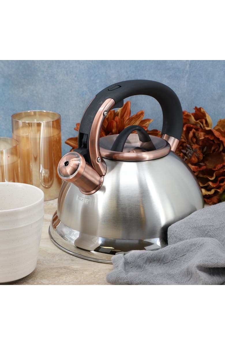 Mr. Coffee Flintshire 2.2 Quart Stainless Steel Whistling Tea Kettle, Alternate, color, Metallic Silver