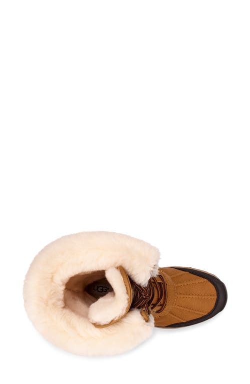 Ugg Adirondack Iii Waterproof Tall Boot In Chestnut