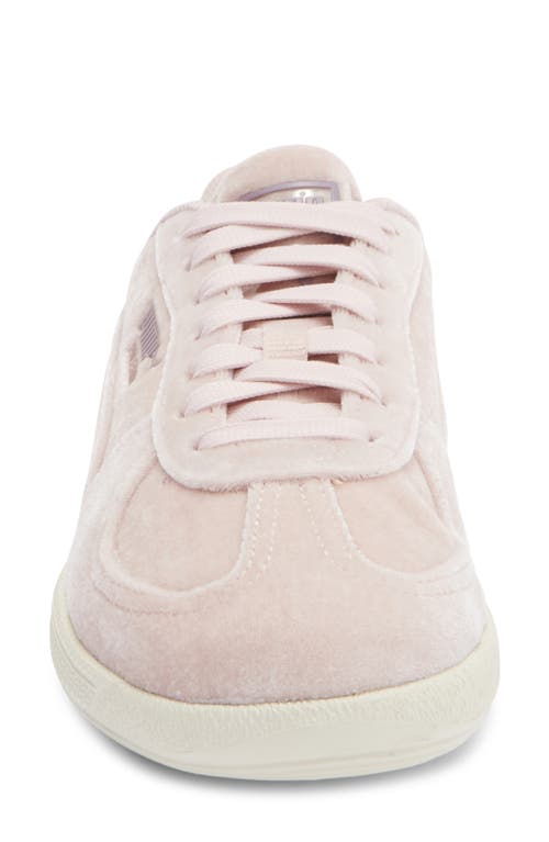 Puma Palermo Velvet Dreams Sneaker In Pink