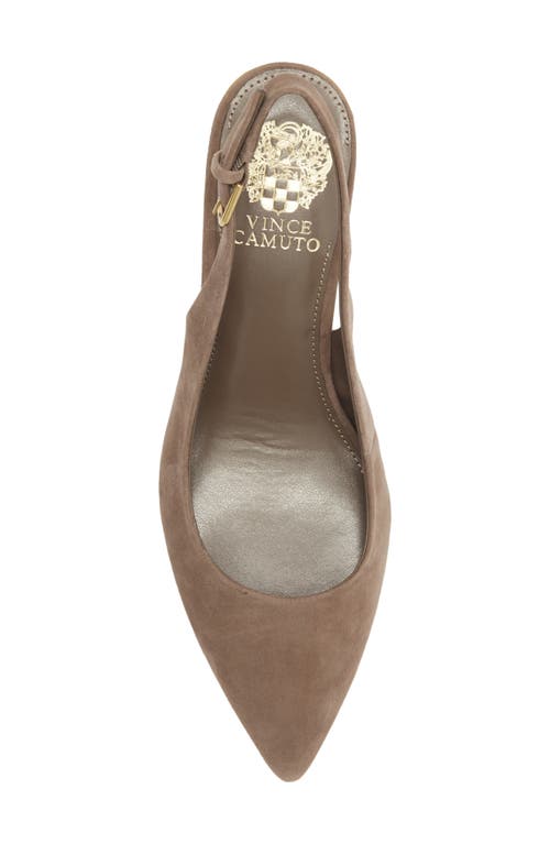 Vince Camuto Hamden Pointed Toe Slingback Pump In Brown