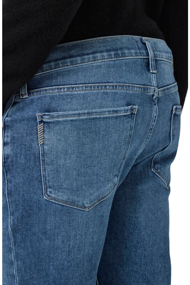 Federal Slim Straight Leg Jeans, Alternate, color, CHESNER