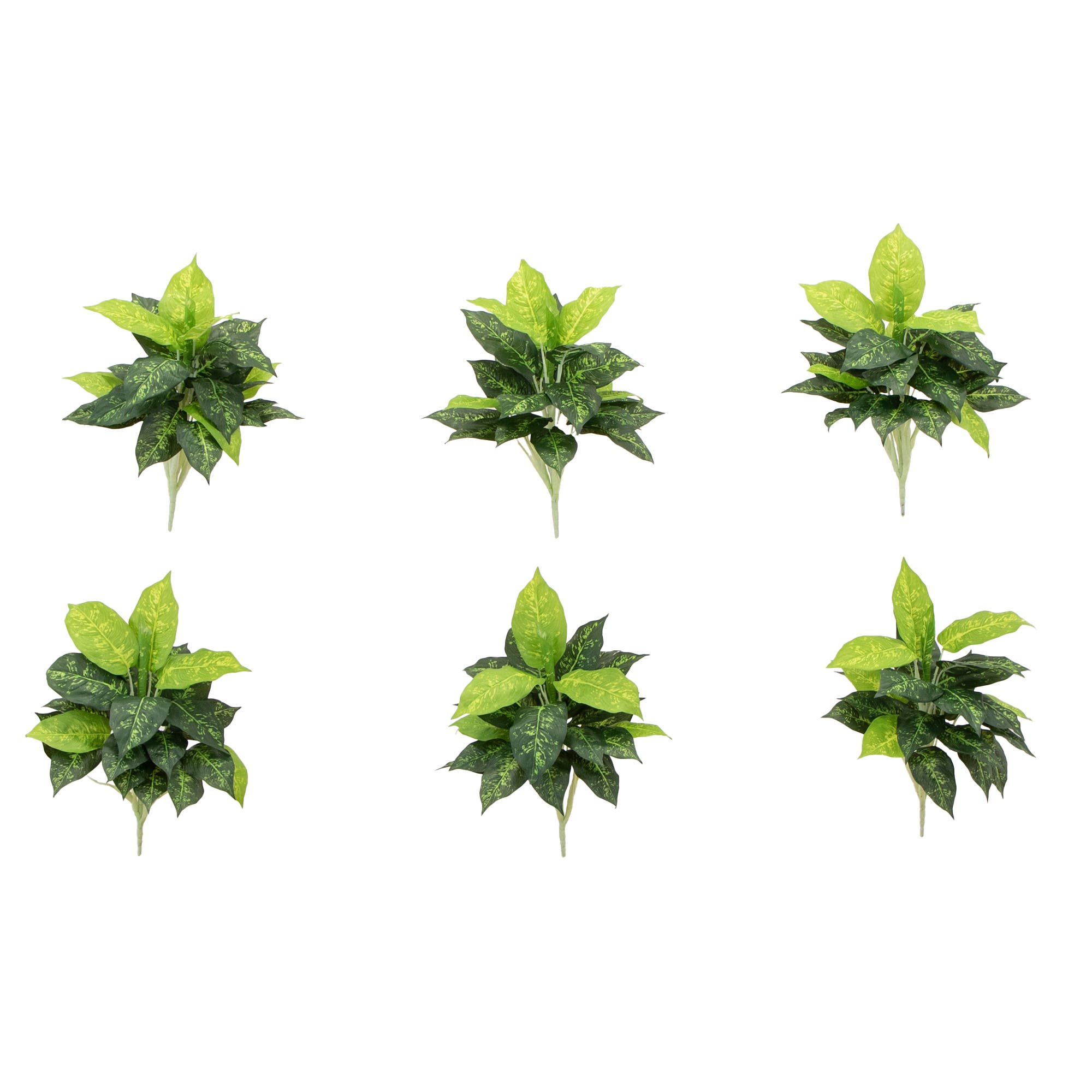selected Green