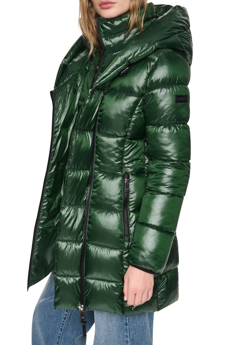 Water Resistant Hooded Puffer Coat with Bib, Alternate, color, HUNTER