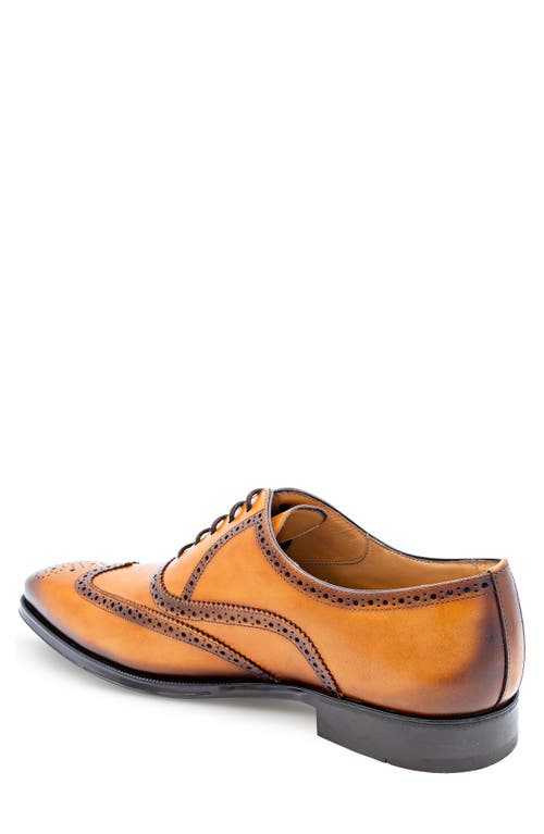 Mezlan Galco Wingtip Oxford In Brown