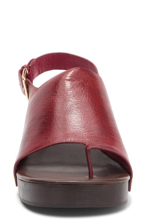 Jeffrey Campbell Pipper Slingback Platform Sandal