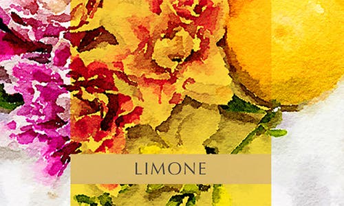 Agraria San Francisco X Monique Lhuillier Airessence Reed Diffuser In Multi