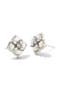 selected Rhodium Ivory Mix