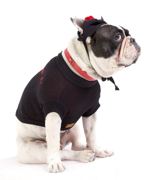 I Woof U Dog Sweater