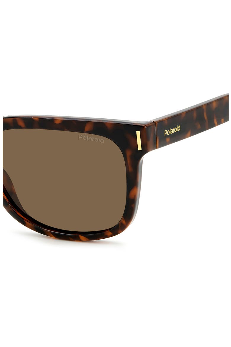 54mm Polarized Rectangular Sunglasses, Alternate, color, HAVANA/ BRONZE POLAR