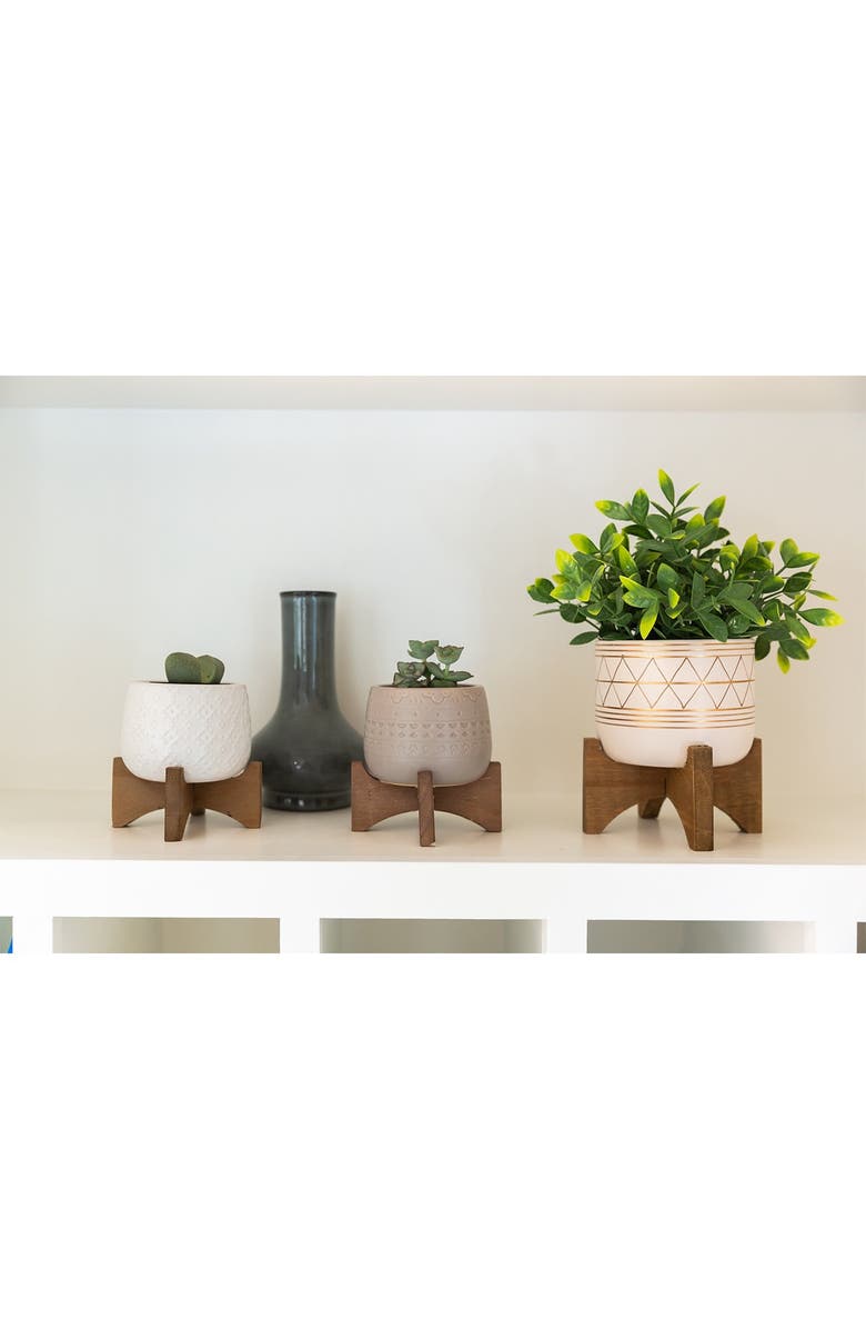 FLORA BUNDA 12" Tea Plant in 5" Geo Ceramic Footed Pot, Alternate, color, 