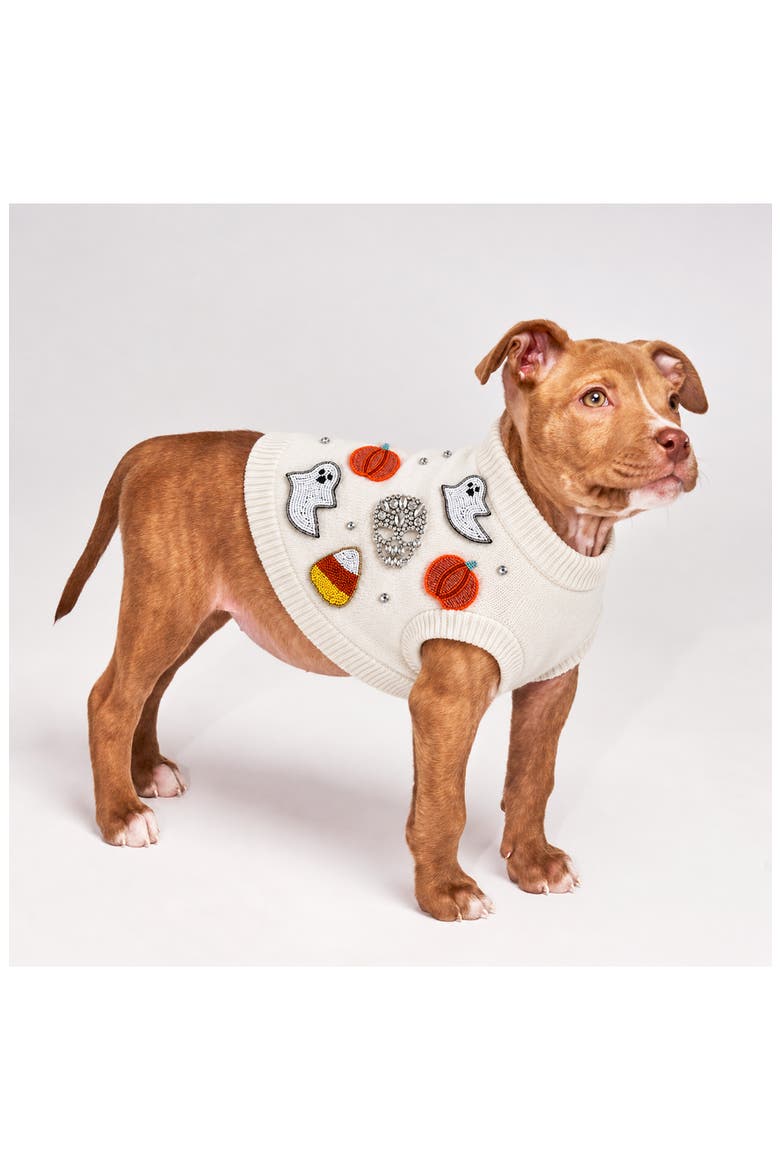 Beaded Icon Pet Sweater, Main, color, CREAM