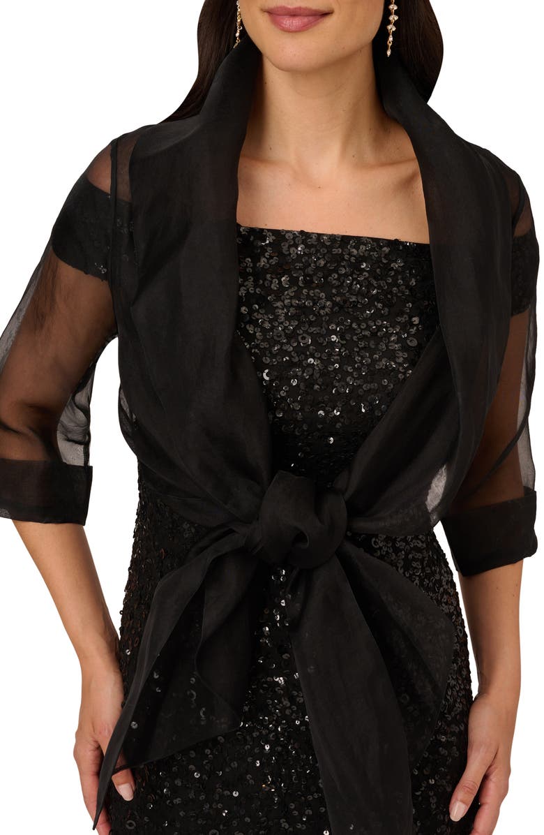 Adrianna Papell Organza Wrap Jacket, Alternate, color,