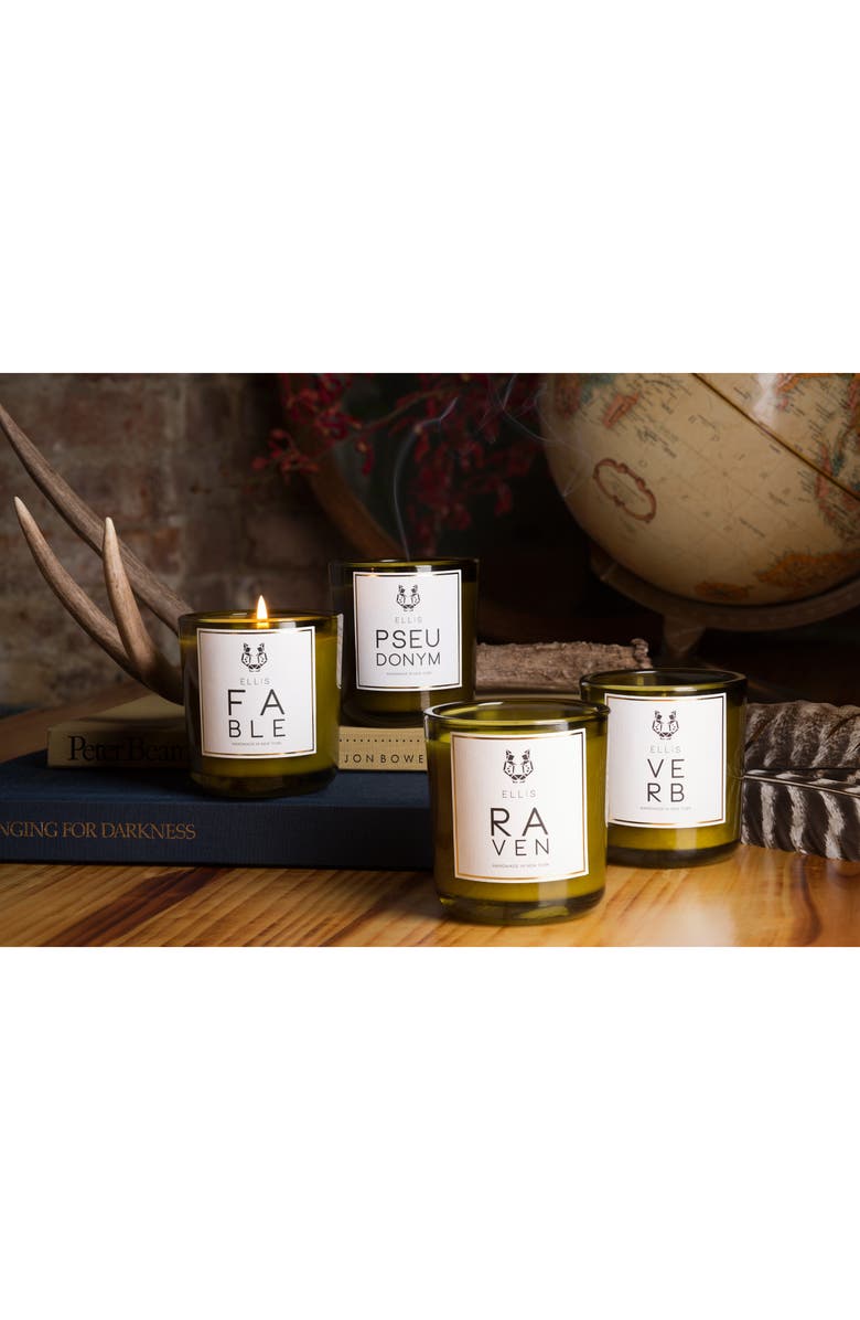 Ellis Brooklyn Raven Terrific Scented Candle, Alternate, color, 